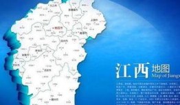 江西爆料新闻视频最新消息,重大事件引发社会关注