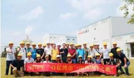 阳西新圩最新爆料新闻