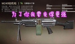 和平精英枪最新爆料,神秘性能引发热议，玩家期待度飙升